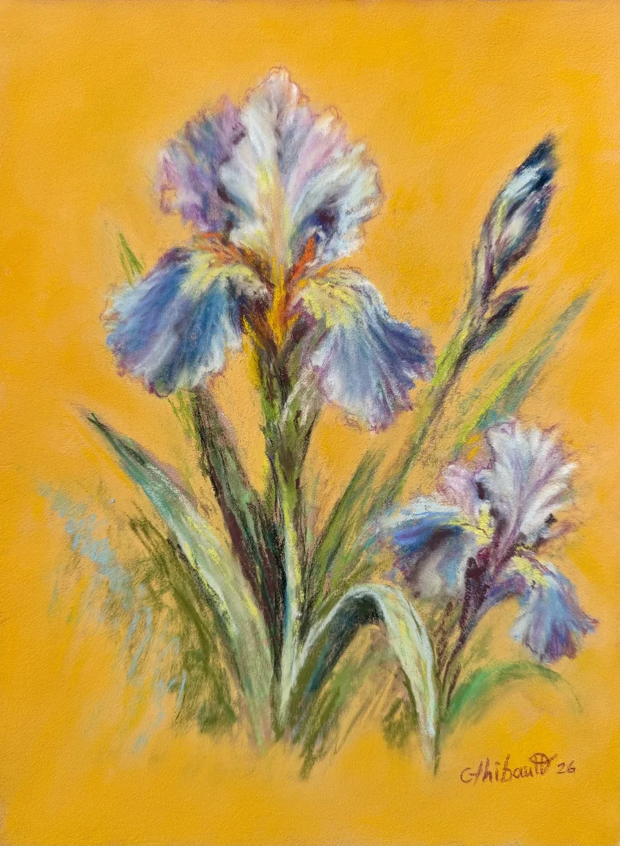 Pastel représentant des iris aux pétales bleus, mauves et blancs, accompagnés de boutons floraux et de longues feuilles vertes, sur un fond jaune orangé lumineux.