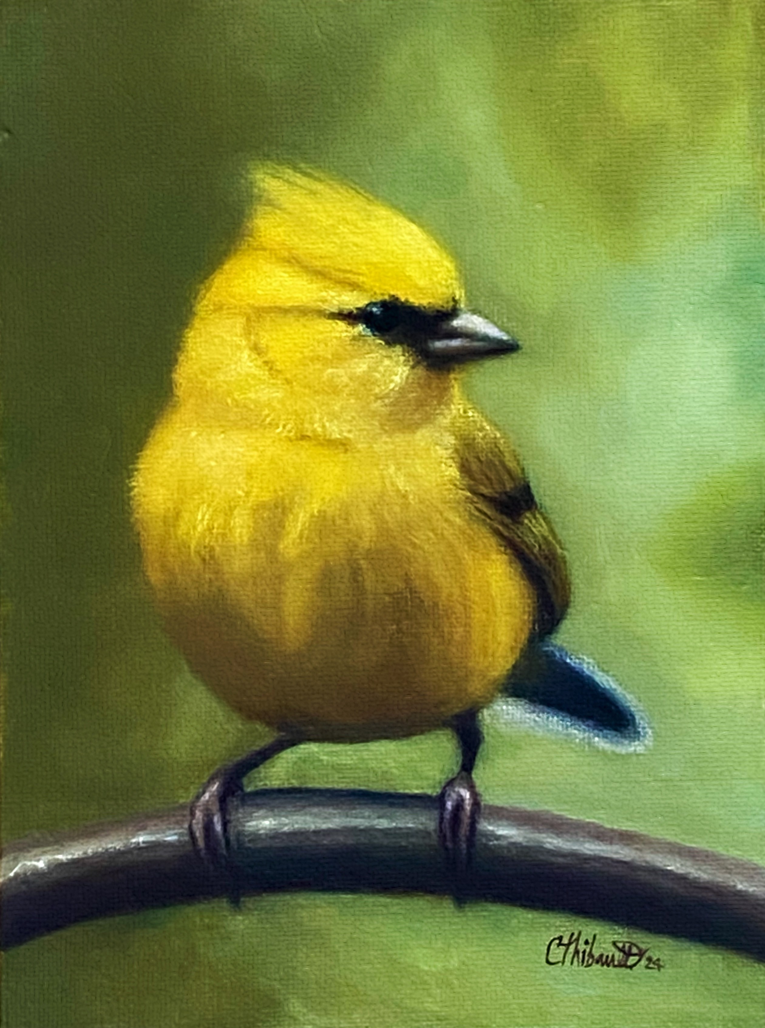 Oiseau jaune