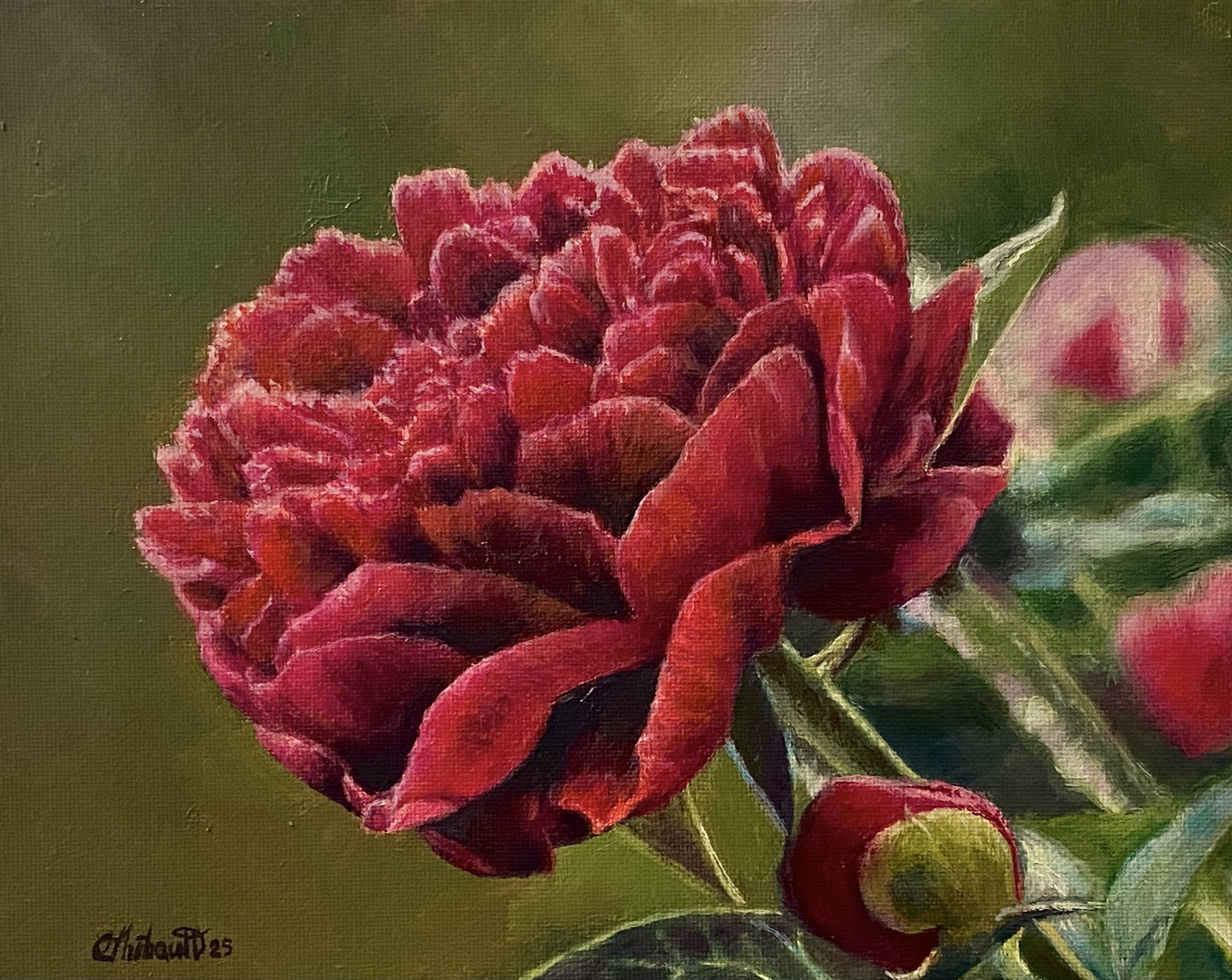 Pivoine